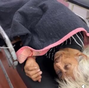 LAMENTABLE: BRUTAL GOLPIZA A “EL TOPO”